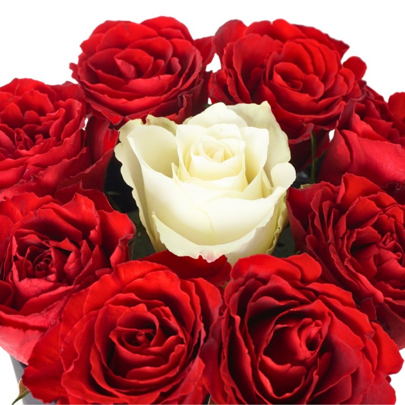 9 Adet Gül🌹 Siyah Kutuda Aşkın Simgesi: Kırmızı & Beyaz Güller